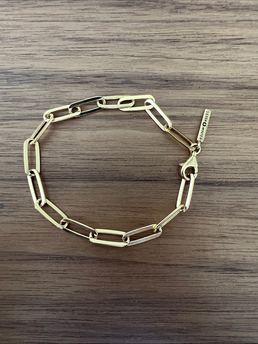 New Simple Gold Paperclip Link Bracelet